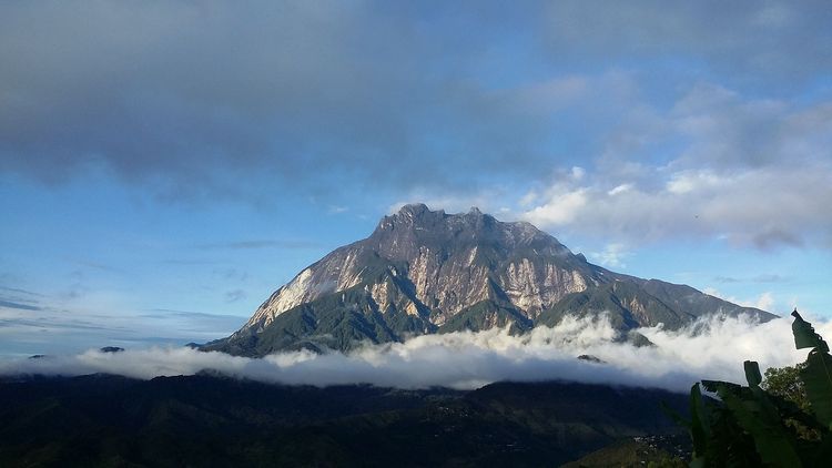 Bornéo - mont Kinabalu