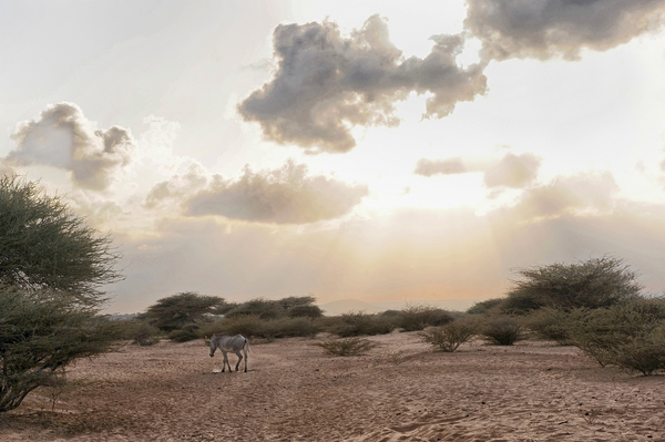 Djibouti